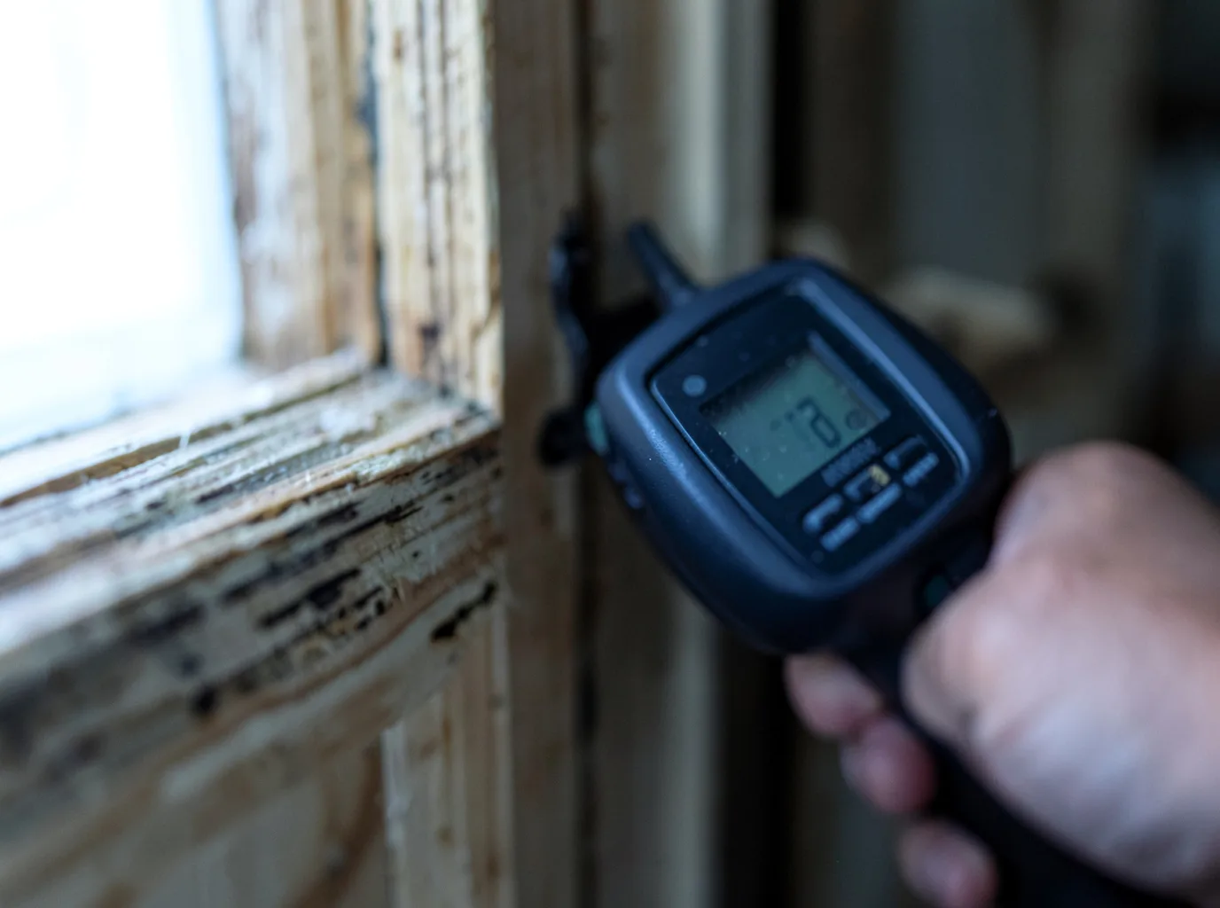 Moisture Inspection And Documentation in Gardiner, NY